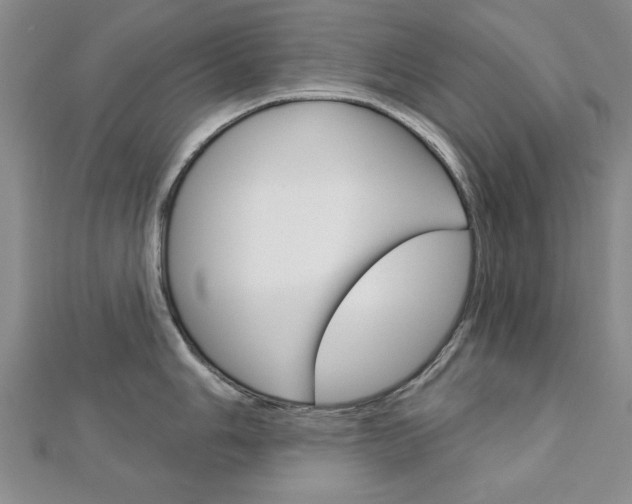 X0000113021006200908271029