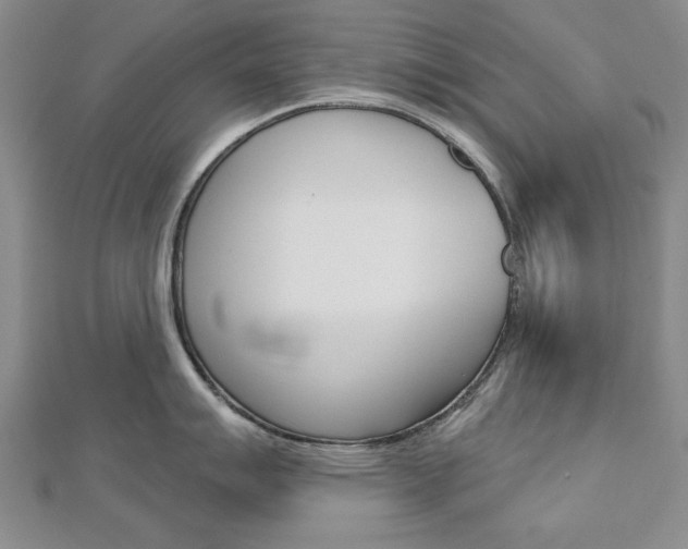 X0000113021007200908271029