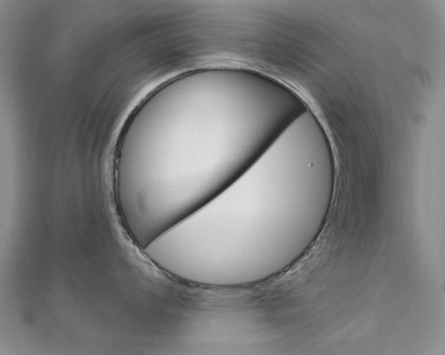 X0000113021008200908271029
