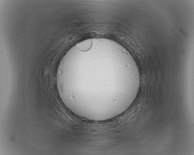 X0000113021009200908271029