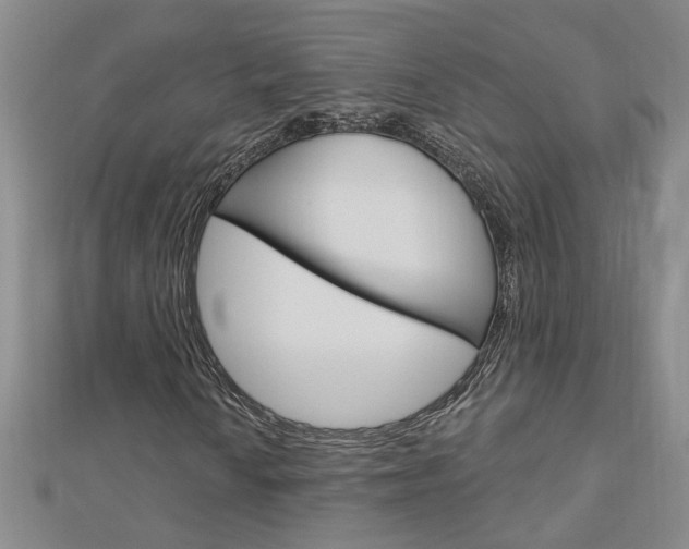 X0000113021010200908271029