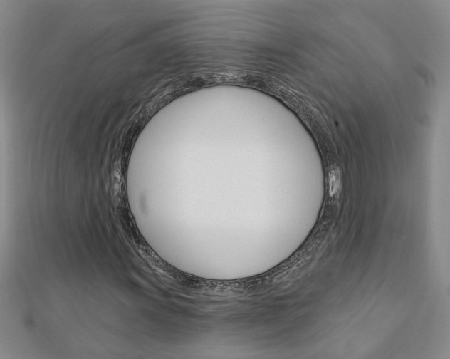 X0000113021011200908271029