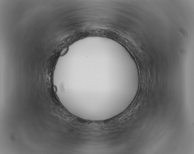 X0000113021013200908271029