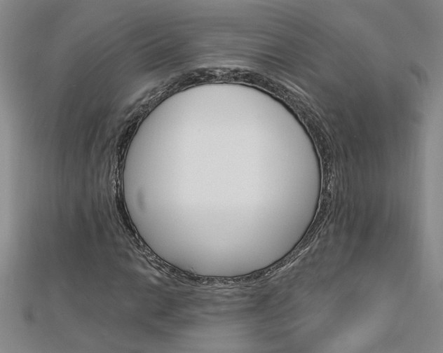 X0000113021014200908271029