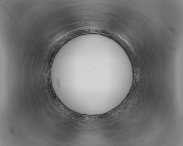 X0000113021015200908271029