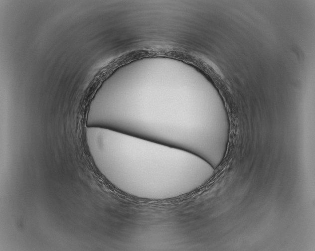 X0000113021016200908271029