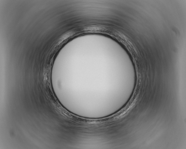 X0000113021017200908271029