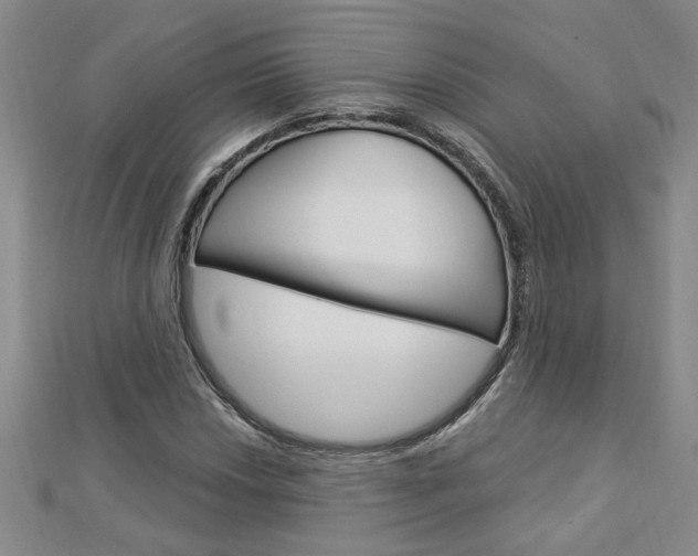 X0000113021018200908271029