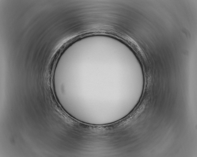 X0000113021019200908271029