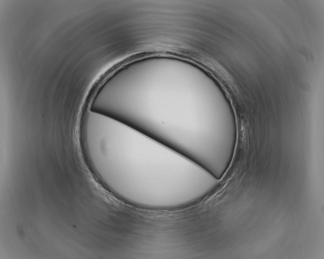 X0000113021020200908271029