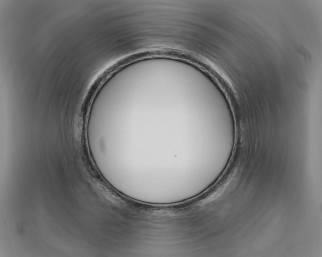 X0000113021021200908271029