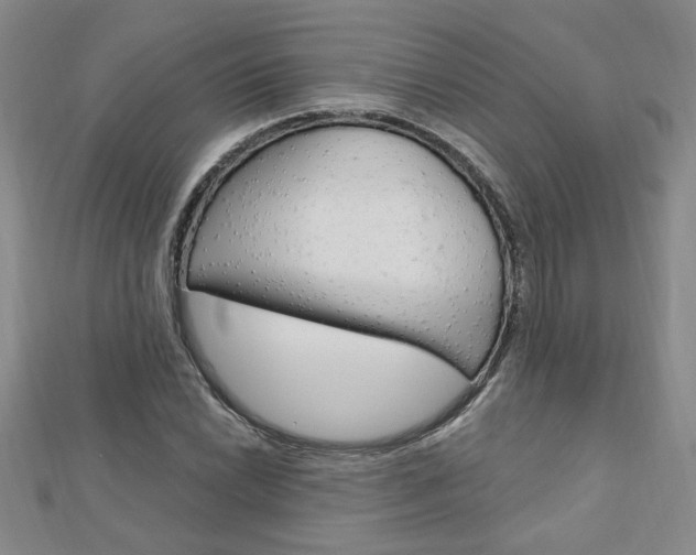 X0000113021022200908271029