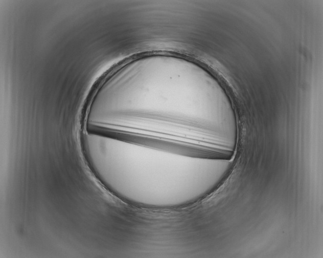 X0000113021024200908271029