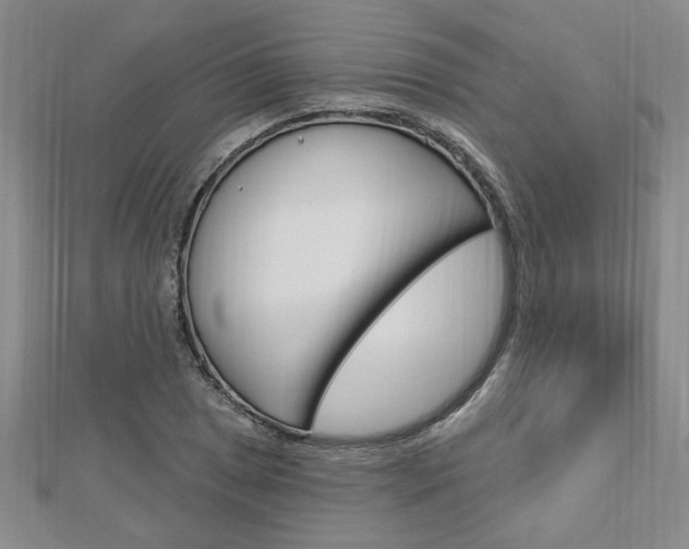 X0000113021025200908271029