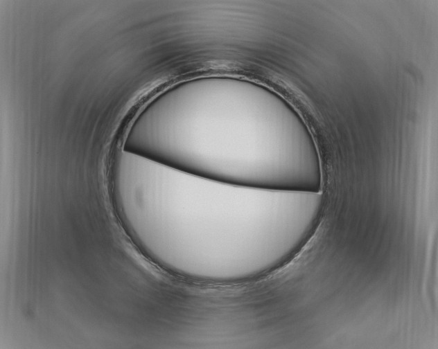 X0000113021026200908271029