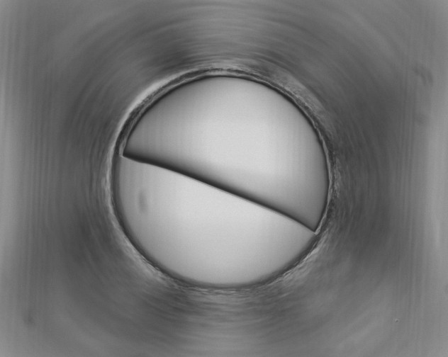 X0000113021028200908271029