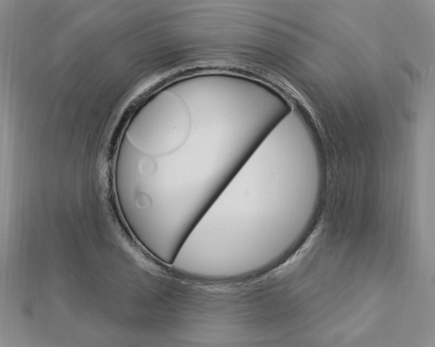 X0000113021029200908271029
