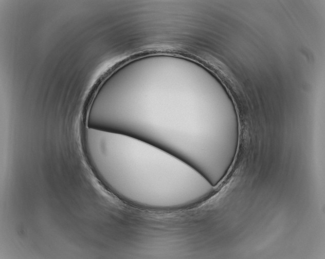 X0000113021030200908271029