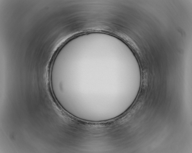 X0000113021031200908271029