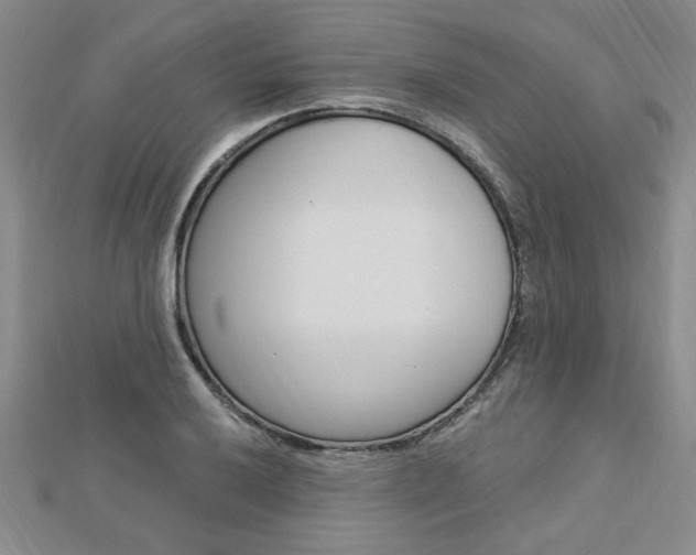 X0000113021032200908271029