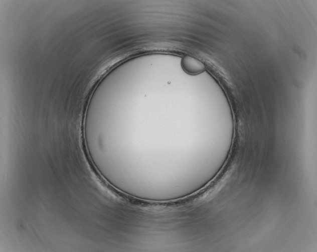X0000113021033200908271029