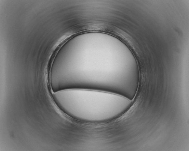 X0000113021034200908271029