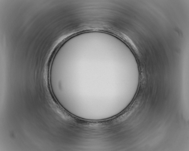 X0000113021035200908271029