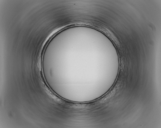 X0000113021036200908271029