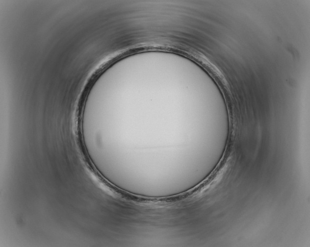 X0000113021037200908271029