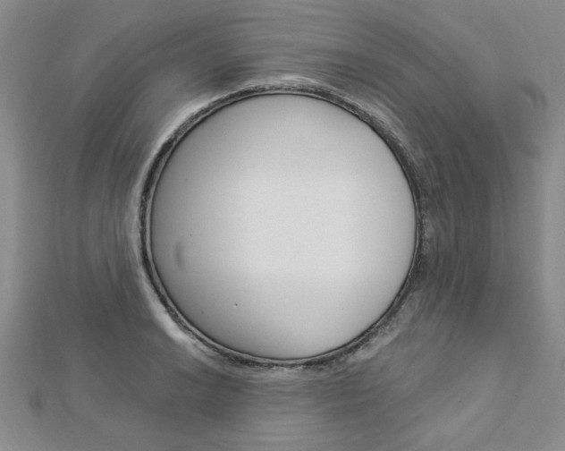 X0000113021038200908271029