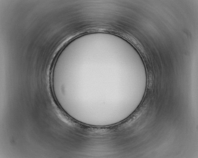 X0000113021039200908271029