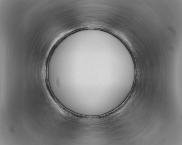 X0000113021040200908271029