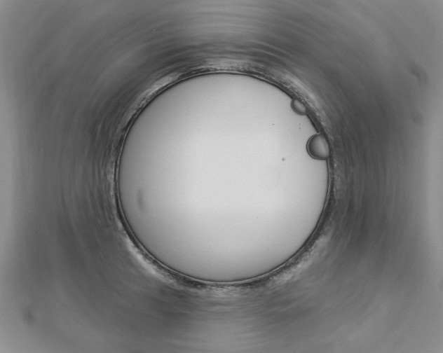 X0000113021041200908271029