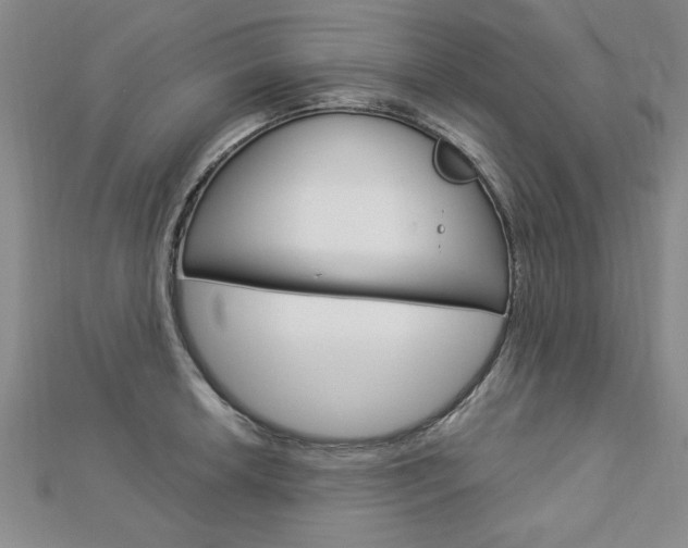X0000113021042200908271029