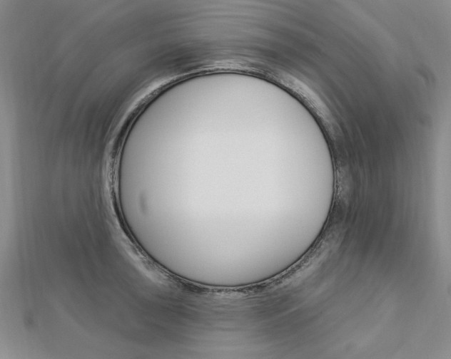 X0000113021043200908271029