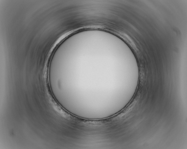 X0000113021044200908271029
