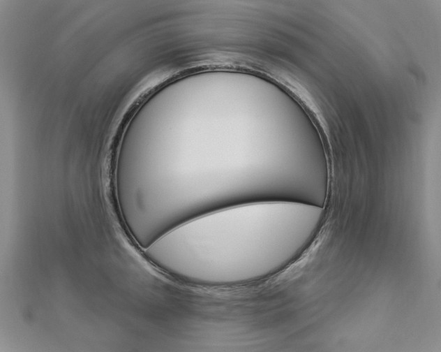 X0000113021045200908271029