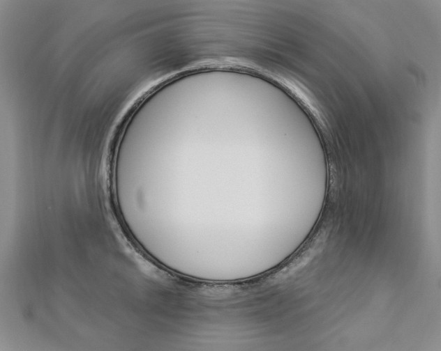 X0000113021046200908271029