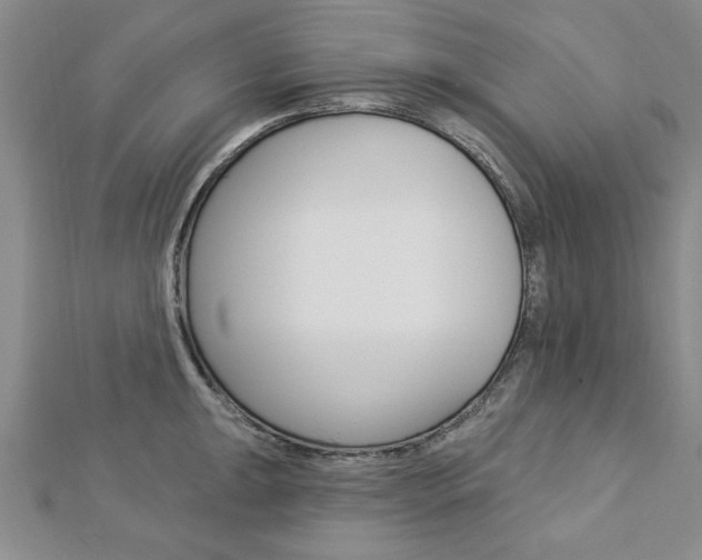 X0000113021047200908271029