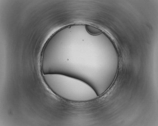 X0000113021048200908271029
