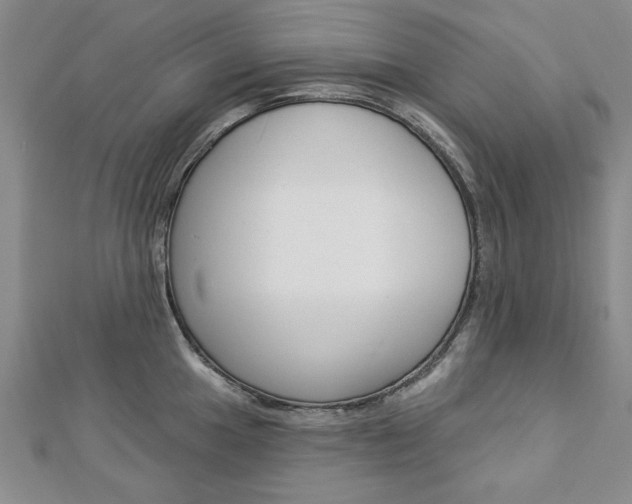 X0000113021049200908271029