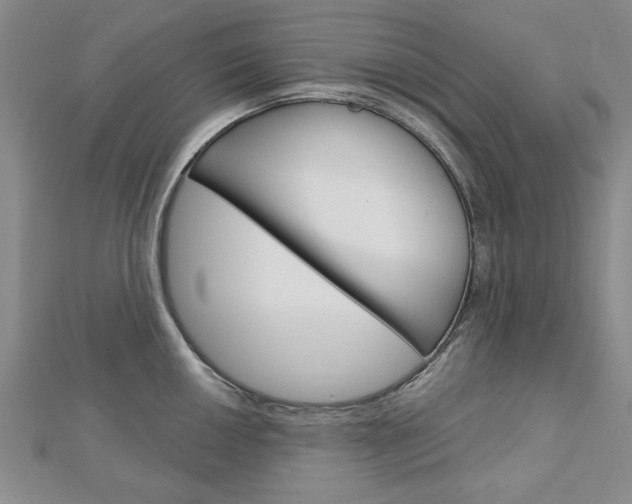 X0000113021050200908271029