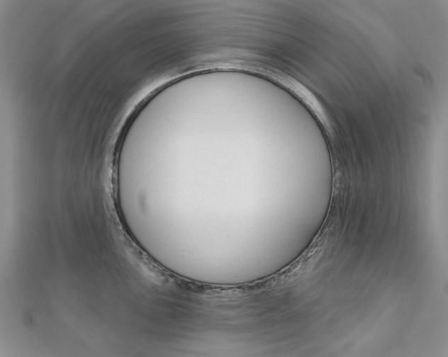 X0000113021051200908271029
