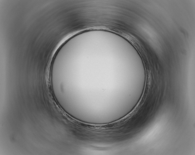 X0000113021052200908271029
