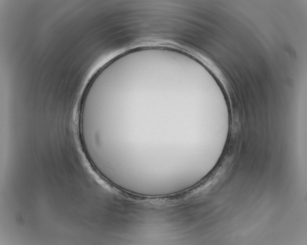 X0000113021053200908271029