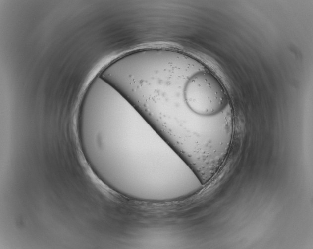 X0000113021054200908271029