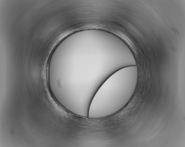 X0000113021055200908271029