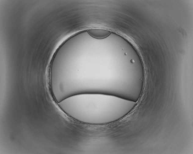 X0000113021056200908271029