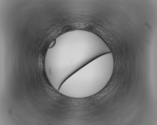 X0000113021058200908271029