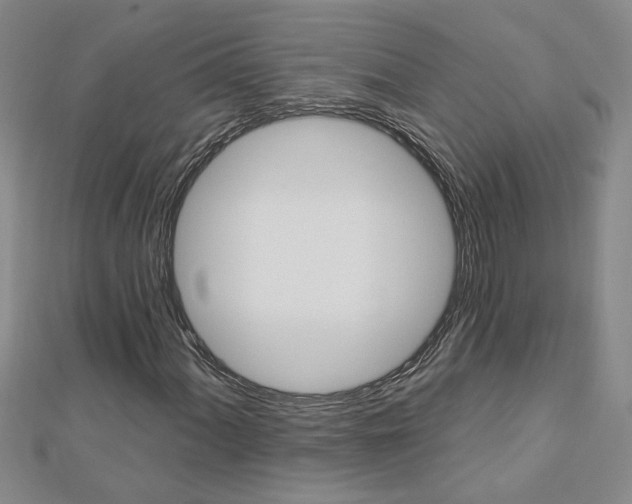 X0000113021060200908271029